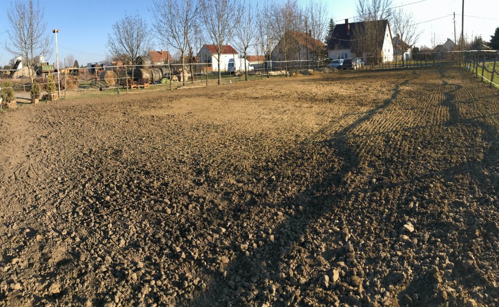 Négy évszakos pályánk tavasszal