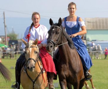 Lovas rendezvények